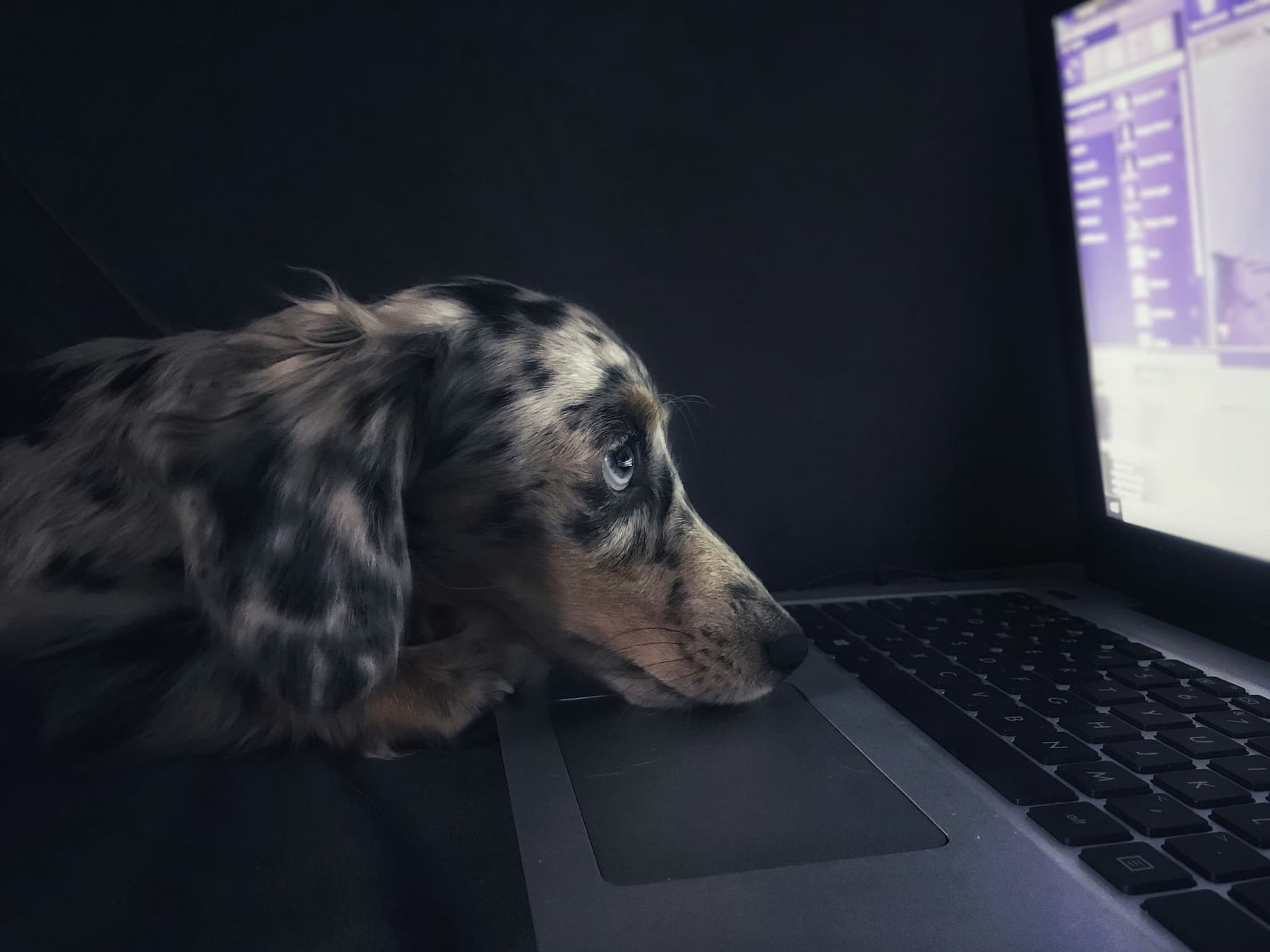 Can Your ISP See Your VPN While Torrenting Can ISP See Your VPN featured image