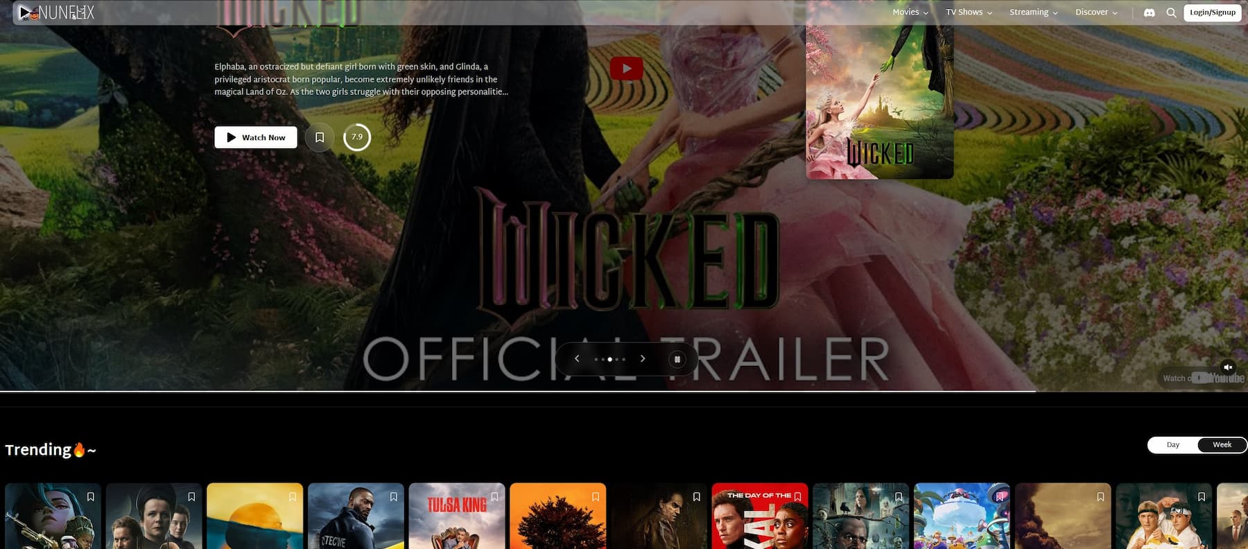 Nunflix Streaming Site
